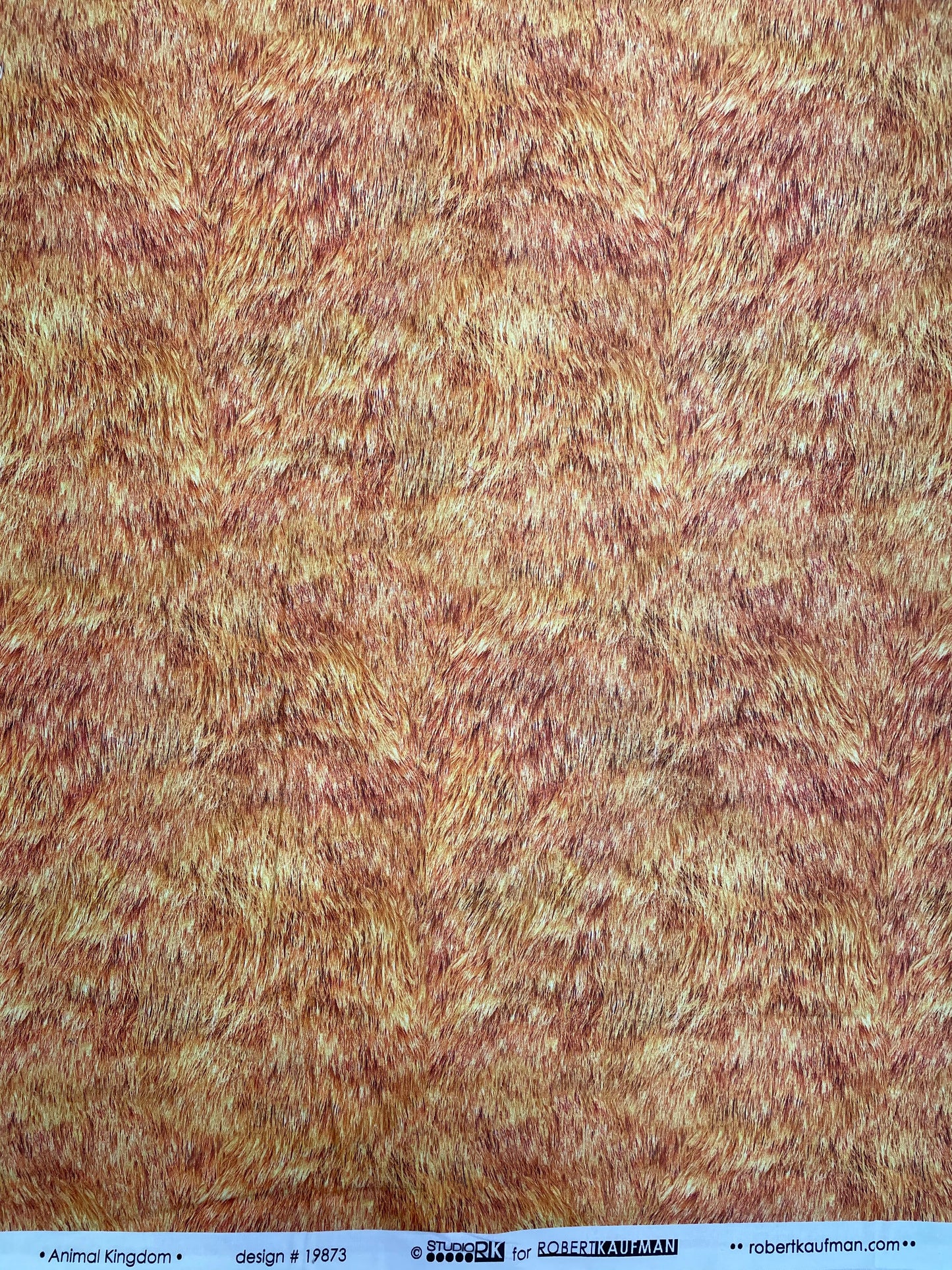 Animal Kingdom - Cat fur -19873